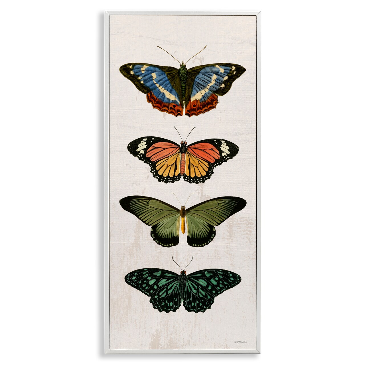 Stupell Industries Butterfly Lineup Vintage Framed Giclee, design by Dan Meneely